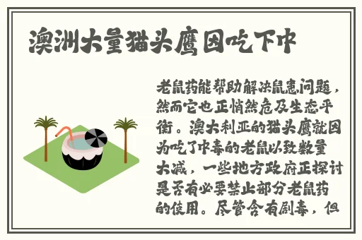 暴躁csgo老阿姨